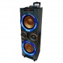 Колонка активная мощная 2х12 дюймов Rainberg 300W сетевая /DJ пульт/ BT/ SD+USB+FM/ LED