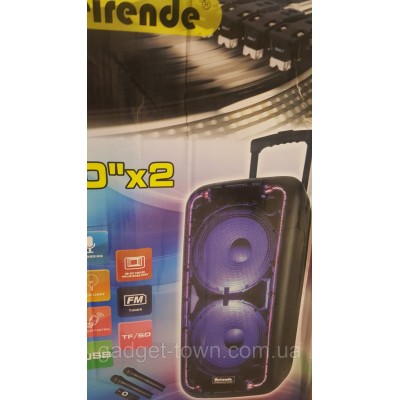 Колонка-чемодан Meirende MR-1010 c микрофоном