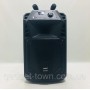 Аккумуляторная колонка с микрофонами Temeisheng SP-1510 / 400W (USB/Bluetooth/Пульт ДУ/Светомузыка)