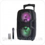 Колонка портативная с микрофоном LIGE-B82K / 80W (USB/FM/Bluetooth)