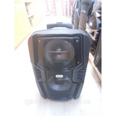 Колонка портативная с микрофоном LIGE-B82K / 80W (USB/FM/Bluetooth)