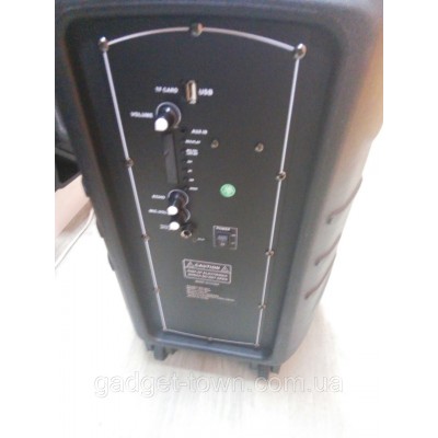 Колонка портативная с микрофоном LIGE-B82K / 80W (USB/FM/Bluetooth)