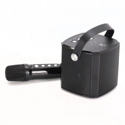 Портативна колонка з караоке мікрофоном YS102 10 W Bluetooth, HiFi, USB, microSD, AUX, Type-C Чорний