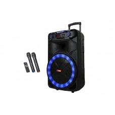 Автономна акустична система TMG ORIGINAL SS-1011 (2MIC + USB + SD + BT)