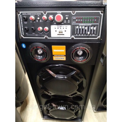Акустика активная Temeisheng DP-2329 (USB/Bluetooth) 300 Вт