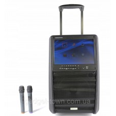 Портативная колонка c экраном SL12-13 с радиомикрофонами / 200W (USB/Bluetooth/Video))