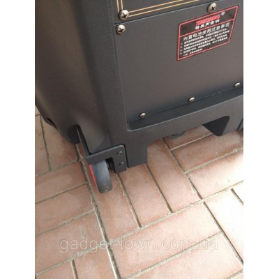 Портативная колонка c экраном SL12-13 с радиомикрофонами / 200W (USB/Bluetooth/Video))