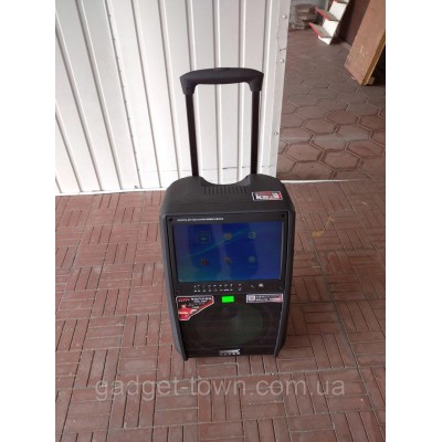 Портативная колонка c экраном SL12-13 с радиомикрофонами / 200W (USB/Bluetooth/Video))