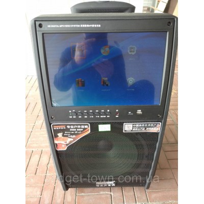 Портативная колонка c экраном SL12-13 с радиомикрофонами / 200W (USB/Bluetooth/Video))