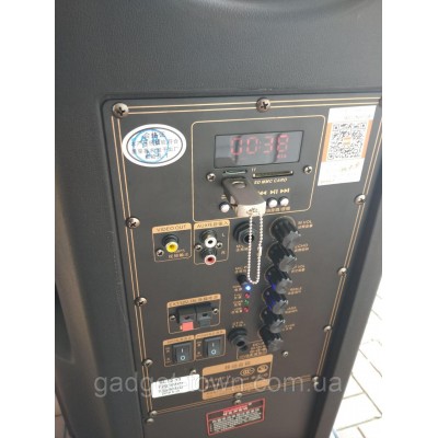 Портативная колонка c экраном SL12-13 с радиомикрофонами / 200W (USB/Bluetooth/Video))
