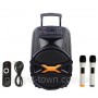 Портативная колонка Temeisheng A15-41 с радиомикрофонами (USB/Bluetooth)
