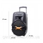 Портативная колонка Temeisheng A15-41 с радиомикрофонами (USB/Bluetooth)