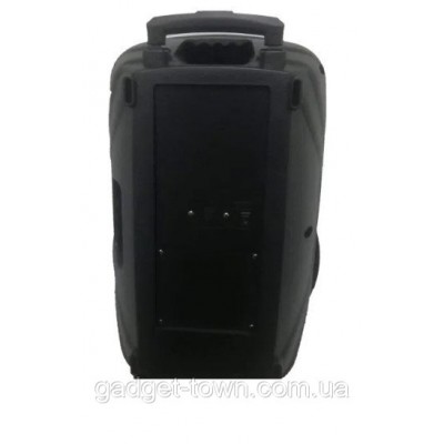 Портативная колонка Temeisheng A15-41 с радиомикрофонами (USB/Bluetooth)