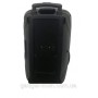 Портативная колонка Temeisheng A15-41 с радиомикрофонами (USB/Bluetooth)