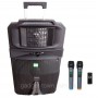 Аккумуляторная колонка с микрофонами Temeisheng SP-1509 / 400W (USB/Bluetooth/Пульт ДУ/Светомузыка)