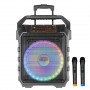 Колонка аккумуляторная с радиомикрофонами UF-983 / 120W (USB/FM/Bluetooth)