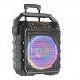 Колонка аккумуляторная с радиомикрофонами UF-983 / 120W (USB/FM/Bluetooth)