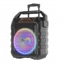 Колонка аккумуляторная с радиомикрофонами UF-983 / 120W (USB/FM/Bluetooth)