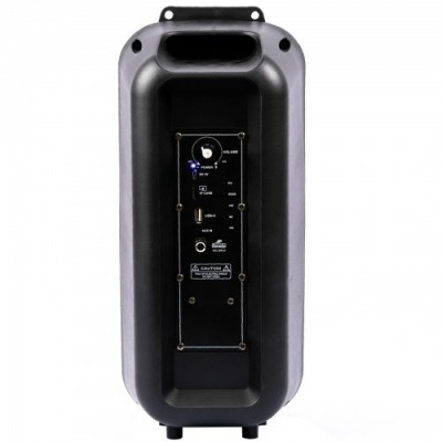 Акустическая аккумуляторная колонка (USB/FM/BT/LED) Lige-A49