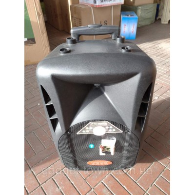 Портативная колонка с микрофонами Langting SL1007 (120W/USB/Bt/Fm)