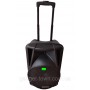 Портативная колонка A 12-40 с радиомикрофоном / 120W (USB/Bluetooth/Пульт)