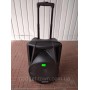 Портативная колонка A 12-40 с радиомикрофоном / 120W (USB/Bluetooth/Пульт)