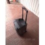 Портативная колонка A 12-40 с радиомикрофоном / 120W (USB/Bluetooth/Пульт)
