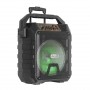 Колонка аккумуляторная с радиомикрофонами UF-982 / 120W (USB/FM/Bluetooth)