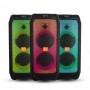 Колонка аккумуляторная Partybox Temeisheng Feiyang c радиомикрофонами (150W/USB/BT/FM/TWS)