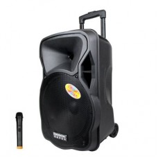 Колонка аккумуляторная с радиомикрофонами TMG ORIGINAL Temeisheng A-1212 (Bluetooth/USB/SD)