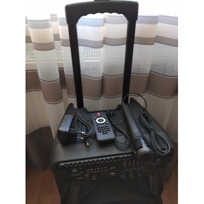 Колонка на аккумуляторе с микрофоном ZPX ZX-7773/160W (USB/Bluetooth/FM)