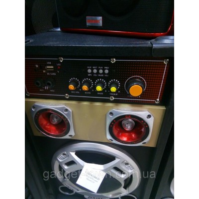 Акустическая система Ailiang 198E , мощная система, блютуз, караоке, FM