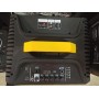 Колонка акумуляторная Temeisheng QX-1214 комбоусилитель USB/FM/Bluetooth с радиомикрофонами