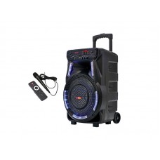 Колонка аккумуляторная Sky Sound-7373 12 дюймов с микрофоном 160W (USB/FM/Bluetooth/TWS)