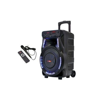 Колонка аккумуляторная Sky Sound-7373 12 дюймов с микрофоном 160W (USB/FM/Bluetooth/TWS)