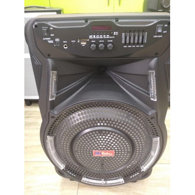 Колонка аккумуляторная Sky Sound-7373 12 дюймов с микрофоном 160W (USB/FM/Bluetooth/TWS)