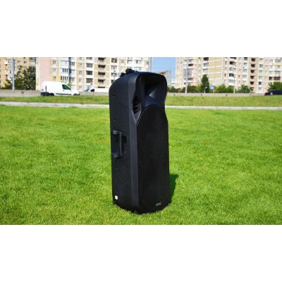 Активная колонка с радиомикрофонами Temeisheng A15-15 Party (USB/Bluetooth/Аккуммулятор) LED посдветка