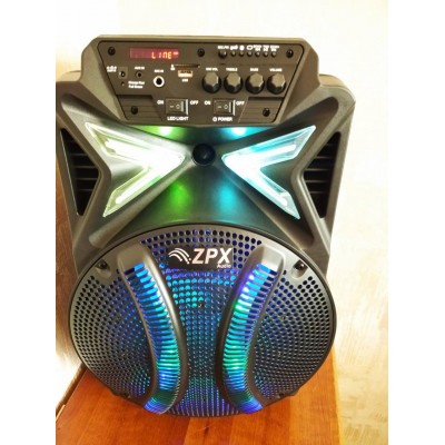 Колонка аккумуляторная 12 дюймов с микрофоном ZPX-7782/120W (USB/FM/Bluetooth/TWS)