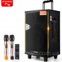 Аккумуляторная колонка с усилителем HI-END уровень Sansui SA1-12 Комбик