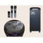 Колонка аккумуляторная LEISOUND Pro Audio c радиомикрофонами и DJ пультом 250W