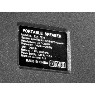 Портативный Бумбокс Soundmax On-The-Go ZXX-7979 c радиомикрофоном