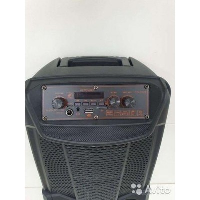 Портативная акустическая система DIGIVOLT DG-1033 Bluetooth-динамик с FM + Пульт ДУ 60 Вт,