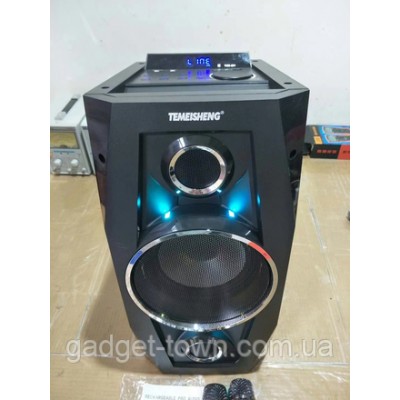 Акустика аккумуляторная с беспроводными микрофонами TMS-801 / 100W (USB/FM/Bluetooth)