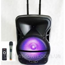 Колонка аккумуляторная Wimpex WX-3028 Bluetooth, SD+USB, пульт, радиомикрофон