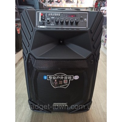 Акустика портативная A12-8 с радиомикрофонами 200W (FM/USB/Bluetooth)