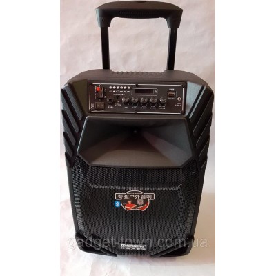 Акустика портативная A12-8 с радиомикрофонами 200W (FM/USB/Bluetooth)