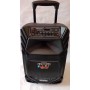 Акустика портативная A12-8 с радиомикрофонами 200W (FM/USB/Bluetooth)