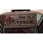 Акустика портативная A12-8 с радиомикрофонами 200W (FM/USB/Bluetooth)