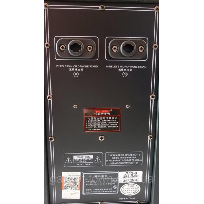 Акустика портативная A12-8 с радиомикрофонами 200W (FM/USB/Bluetooth)