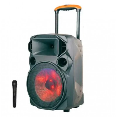 Акустическая аккумуляторная ZXX-1209 колонка 12 дюймов с микрофоном (USB/FM/BT/LED) 150 Вт